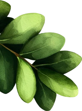 left_green_leafs